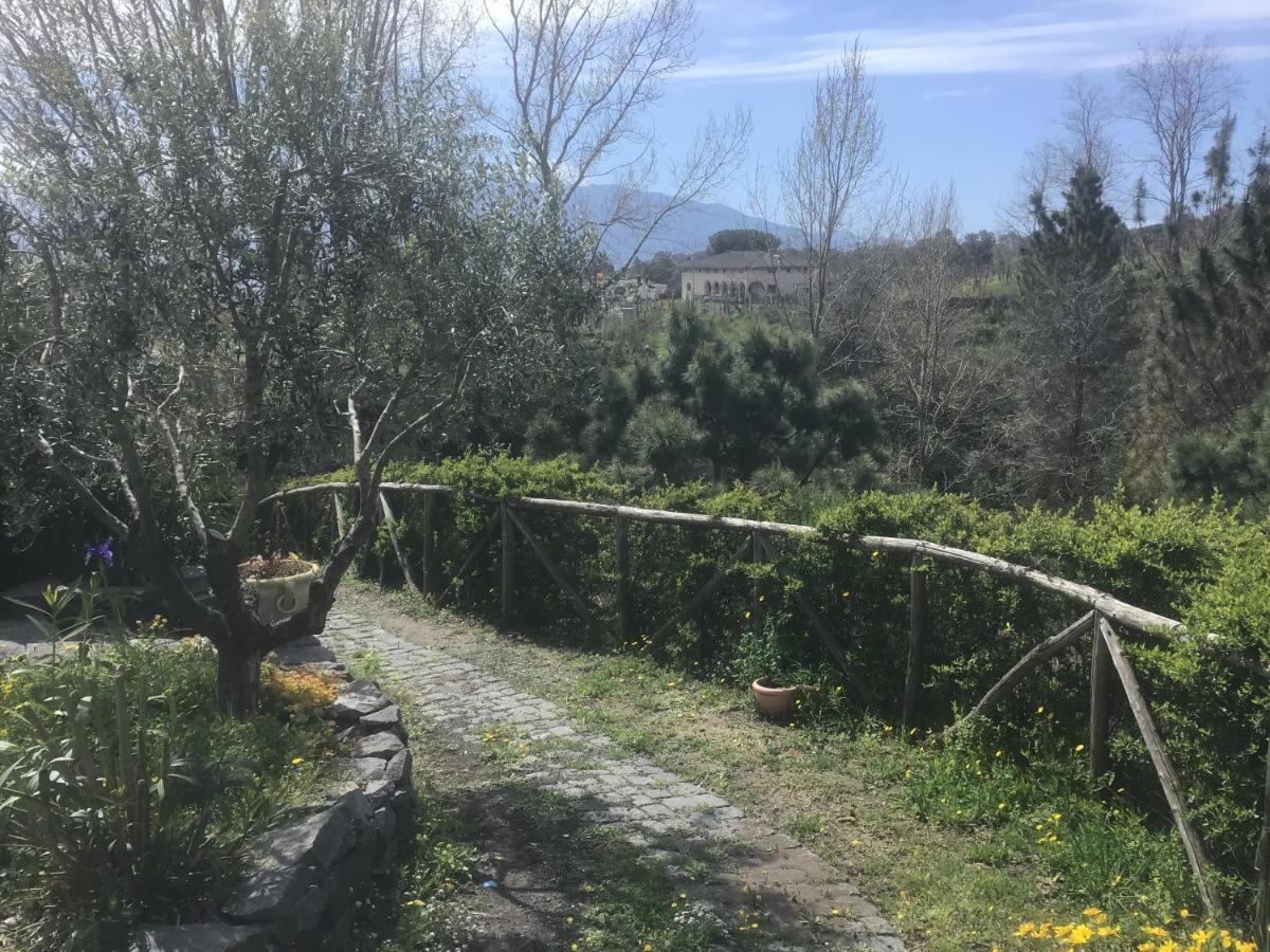 Tenuta Terradifuoco Terzigno Екстериор снимка
